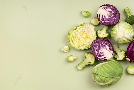 cms-banner-2.webp